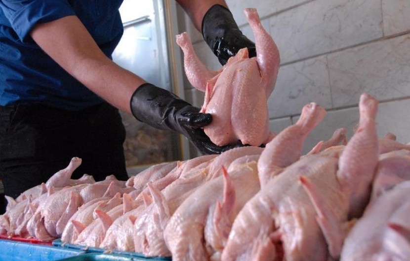 سالانه سه هزار میلیارد تومان بابت خرید مرغ سنگین هدر می‌رود