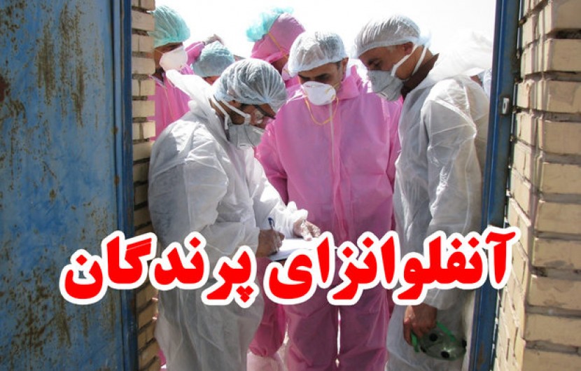 تشکیل ستاد پیشگیری از آنفلوآنزای فوق حاد پرندگان در شهرستان سرباز
