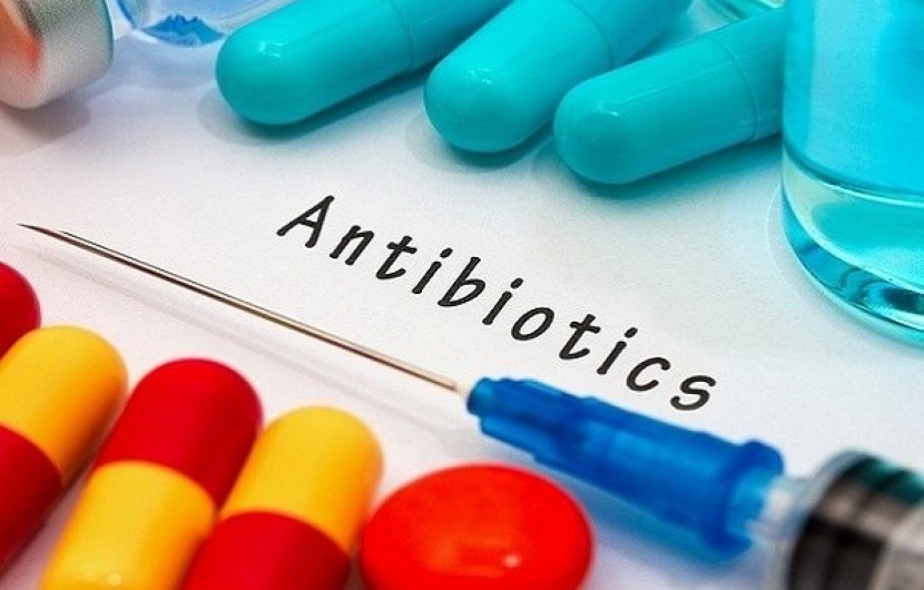 قوی‌ترین آنتی بیوتیک‌های طبیعی