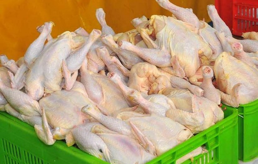 دلیل افزایش مجدد قیمت مرغ چیست؟