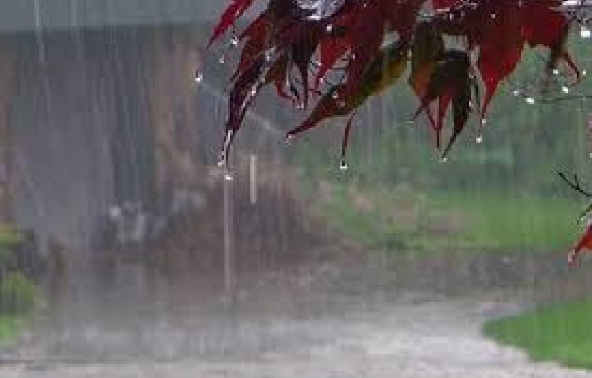 شرایط برای بارش های رگباری در مرکز استان فراهم است/ زاهدانی های منتظر بارندگی های قابل توجه باشند
