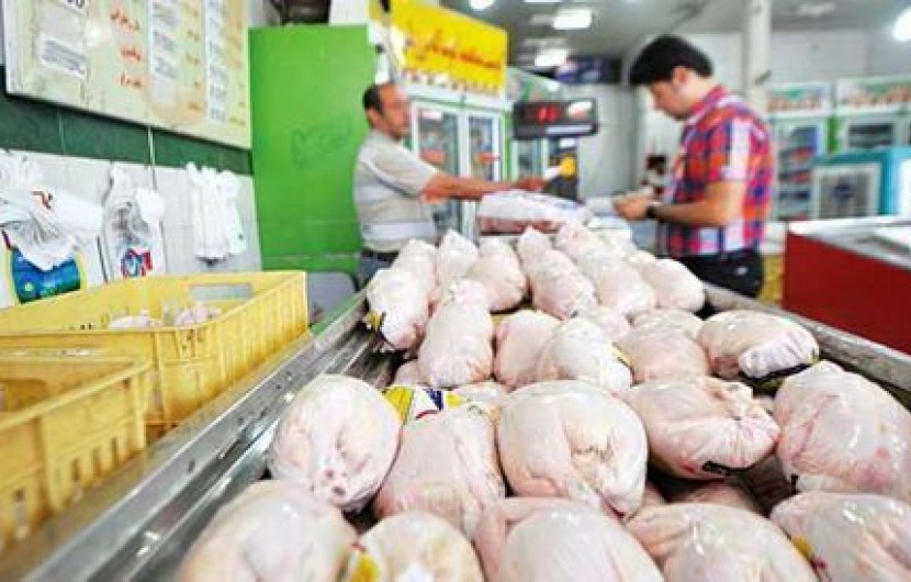 کاهش قیمت و رضایت نسبی مصرف کنندگان و تولیدکنندگان مرغ / خرید مرغ از مرغداری های سطح شهر