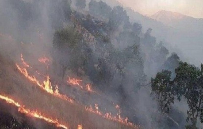 ادامه سریال آتش سوزی جنگل های زاگرس در کوه های خائیز و دیل/هزار هکتار از پارک ملی خائیز طعمه آتش شد