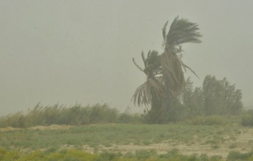 باد متوسط تا شدید باز هم نقاطی از سیستان و بلوچستان را فرا می گیرد